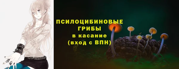 MDMA Богородицк